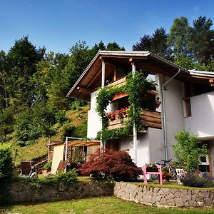 フィエーラ・ディ・プリミエーロ Minavill La Casa Sulle Dolomiti Bed & Breakfast Exterior photo