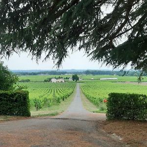 A L'Ombre De La Treille -Proche Saint-Emilion Bed & Breakfast Exterior photo