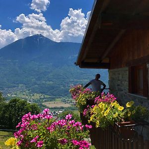 Castione Andevenno Agriturismo Cavria Bed & Breakfast Exterior photo