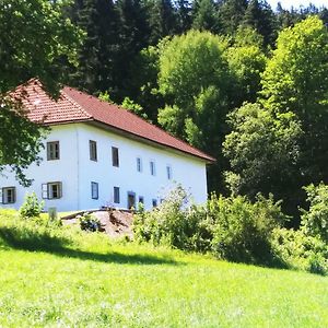 ZaglauFerienhaus Herrnbauerアパートメント Exterior photo