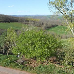 Saint-Izaire Chambre D'Hotes Des Monts Bed & Breakfast Exterior photo