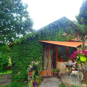 Saint-Léons Mas De La Boheme - L'Hermet Bed & Breakfast Exterior photo