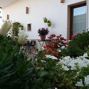 Poggiorsini Colle Carro Bed & Breakfast Exterior photo