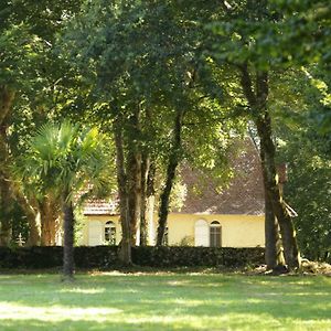 Pouillon La Chapelle Du Chateau Giteヴィラ Exterior photo