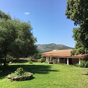 Sa Castanza Agriturismo Su Pirastruヴィラ Exterior photo