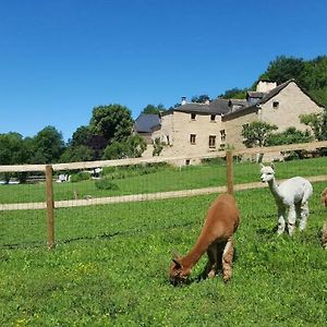 Quins La Ferme Des Andes Bed & Breakfast Exterior photo