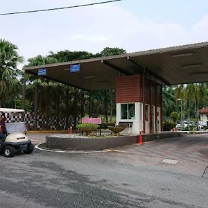 Homestay Bandar Putra クライ Exterior photo