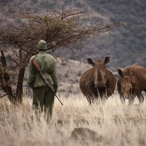 ホテル Elewana Lewa Safari Camp メル Exterior photo