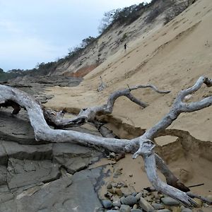 ホテル Driftwood Treehouse Sunrise-on-Sea Exterior photo