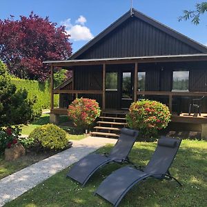 Saint-Sauveur-lès-Bray Le Chalet Du Lac - Domaine De La Goujonneヴィラ Exterior photo