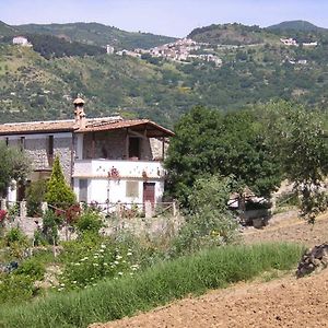 Cerchiara di Calabria Agriturismo Acamporaヴィラ Exterior photo