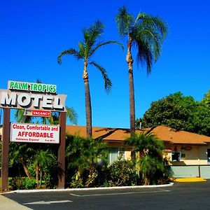 Palm Tropics Motel グレンドラ Exterior photo