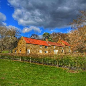 Ingleby Arncliffe Park House Bed & Breakfast Exterior photo