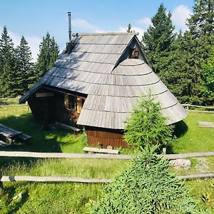 カムニーク Chalet Gasparjeva Velika Planinaヴィラ Exterior photo