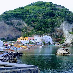 Hotel Conte - S. Angelo Bay セッラーラ・フォンターナ Exterior photo