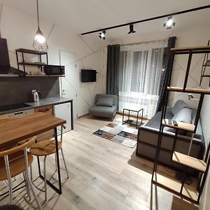 イヴァーノ＝フランキーウシクLoft Возле Парка, Стадиона И Озераアパートメント Exterior photo