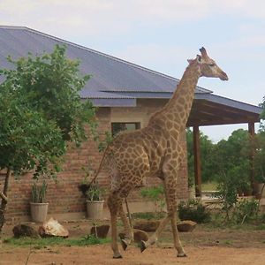 Mkhiweni Villa At Dombeya Wildlife Estate ムババーネ Exterior photo