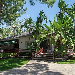 Beautiful Villa With A Dishwasher, Close To Restaurants バレンシア Exterior photo