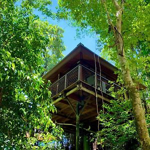 ホテル Cairns Rainforest Retreat Exterior photo