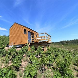 ホテル Tiny House Au Coeur Du Vignoble Beaujolais フルーリー Exterior photo