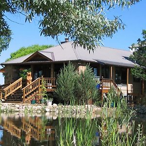 Mancos Starry Nights Ranch Bed & Breakfast Bed & Breakfast Exterior photo