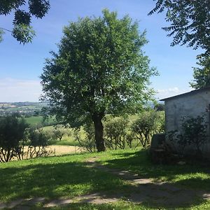 セニガッリア Bed & Breakfast Montsegur Bed & Breakfast Exterior photo