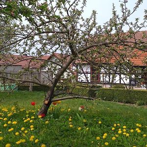 ホテル Pension Toepferhof バート・ベルカ Exterior photo