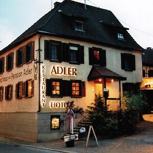 Adler Gaststube Hotel Biergarten バート・ラッペナウ Exterior photo