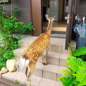 Deer Hostel - English Only奈良市 Exterior photo