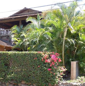 Maui What A Wonderful World Bed & Breakfast ワイレア Exterior photo