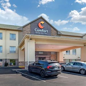 Comfort Inn & Suites シンシナティ Exterior photo