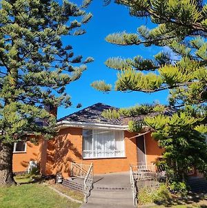 Two Pines, Whole Home In Tullamarine Near Airport!メルボルン Exterior photo